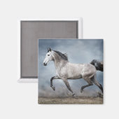 Schönes graues Pferd Dramatischer Himmel Sandy Lan Magnet (Vorderseite/Rückseite)