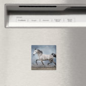 Schönes graues Pferd Dramatischer Himmel Sandy Lan Magnet (In Situ (Geschirrspüler))