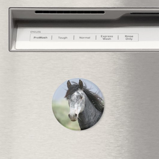 Schönes graues Pferd Magnet (In Situ (Geschirrspüler))