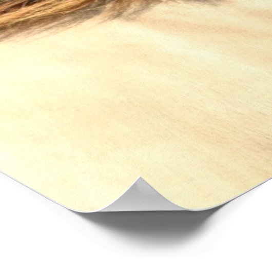 Schönes graues Pferd Poster (Ecke)