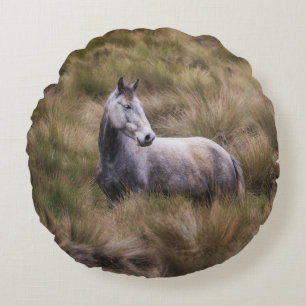 Schönes graues Pferd Rundes Kissen