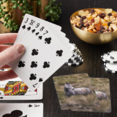 Schönes graues Pferd Spielkarten (In Situ)
