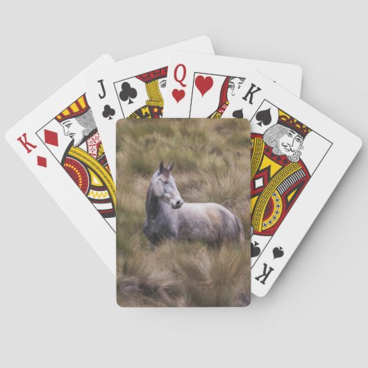 Schönes graues Pferd Spielkarten (Rückseite)