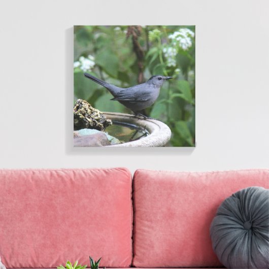 Schönes Grey Catbird Wrapped Panel Leinwanddruck (Insitu (Wohnzimmer))