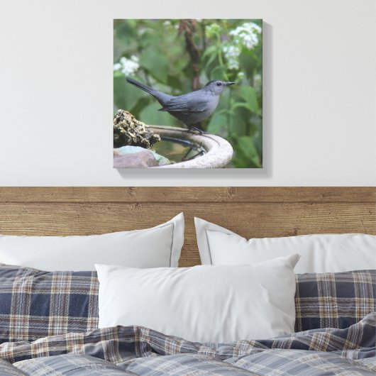 Schönes Grey Catbird Wrapped Panel Leinwanddruck (Insitu (Schlafzimmer))
