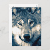 Schönes Grey Wolf Woodland Animal Postkarte (Vorne/Hinten)