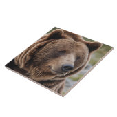 Schönes Grizzy Bären Portrait Braun Bär 2a Fliese (Seite)