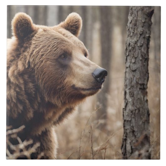 Schönes Grizzy Bären Portrait Brown Bear 3a Fliese (Vorderseite)