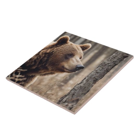 Schönes Grizzy Bären Portrait Brown Bear 3a Fliese (Seite)
