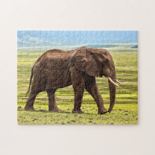 Schönes großes Elefant-Foto Puzzle
