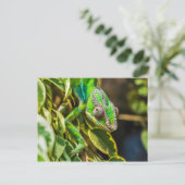 Schönes grünes Chamäleon Postkarte (Stehend Vorderseite)