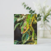 Schönes grünes Chamäleon Postkarte (Stehend Vorderseite)