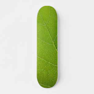 Schönes grünes Leaf Skateboard