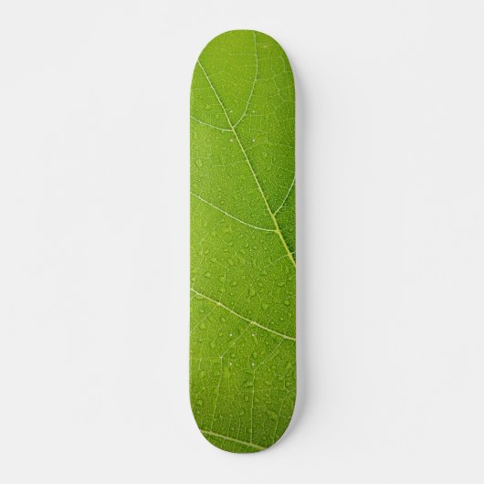 Schönes grünes Leaf Skateboard (Vorne)