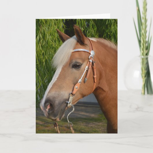 Schönes Haflinger-Pferdeportrait Karte (Vorderseite)