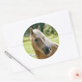 Schönes Haflinger-Pferdeportrait Runder Aufkleber (Umschlag)