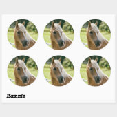 Schönes Haflinger-Pferdeportrait Runder Aufkleber (Blatt)