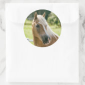 Schönes Haflinger-Pferdeportrait Runder Aufkleber (Tasche)