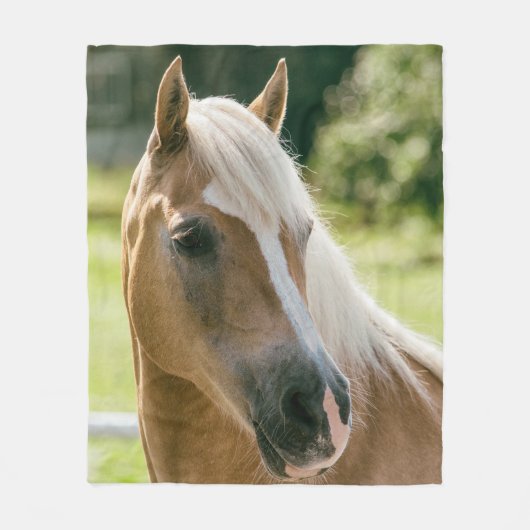 Schönes haflinger Pferdeporträt Fleecedecke (Vorderseite)