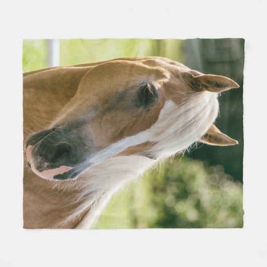 Schönes haflinger Pferdeporträt Fleecedecke (Vorderseite (Horizontal))