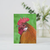 Schönes Hahnenportrait Postkarte (Stehend Vorderseite)