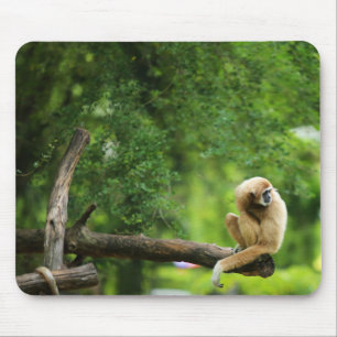 Schönes, handgefertigtes Gibbon auf einem Baum Mousepad