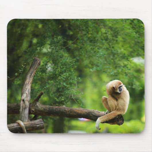 Schönes, handgefertigtes Gibbon auf einem Baum Mousepad (Vorne)