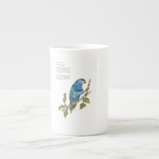 Schönes handgemalt gefährdetes Lorikeet Porzellantasse