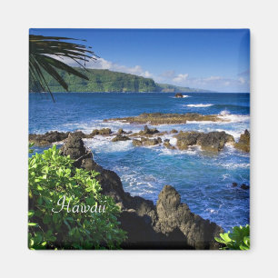 Schönes Hawaii (beschriftet) Magnet