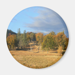 Schönes Hayfork, Kalifornien.... Magnet