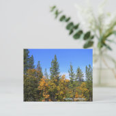 Schönes Hayfork, Kalifornien... Postkarte (Stehend Vorderseite)