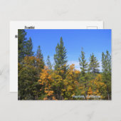 Schönes Hayfork, Kalifornien... Postkarte (Vorne/Hinten)