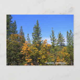 Schönes Hayfork, Kalifornien... Postkarte
