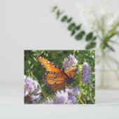 Schönes, helles Orange Monarch Butterfly Foto Postkarte (Stehend Vorderseite)