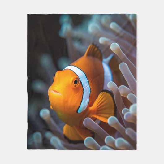 Schönes, hellgelbes Meeresfisch-Unterwasserbild Fleecedecke (Vorderseite)