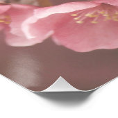 Schönes hellrosa Blume Petals florales Poster (Ecke)