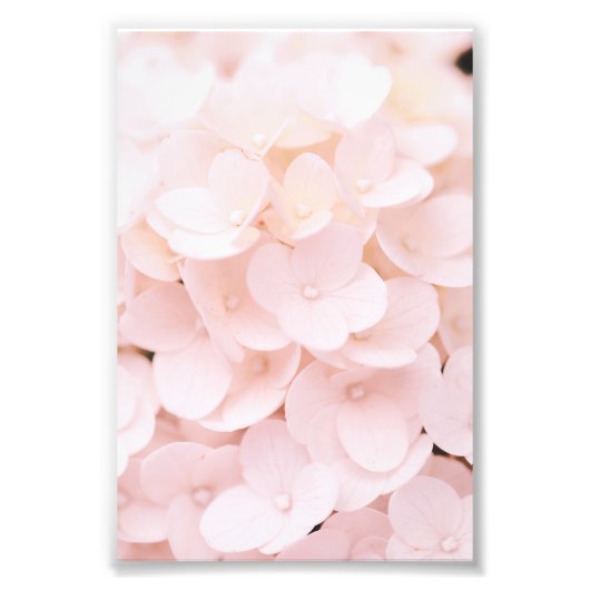 Schönes hellrosa Blume Petals florales Poster (Vorne)