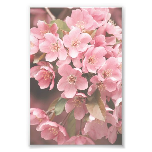 Schönes hellrosa Blume Petals florales Poster (Vorne)