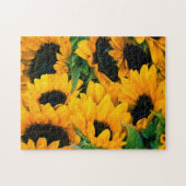 Schönes, herausforderndes Puzzle mit goldenen Sonn (Horizontal)