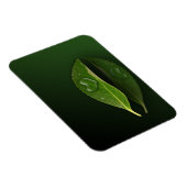 Schönes, herzförmiges Wassertropfen auf der linken Magnet (Rechte Seite)