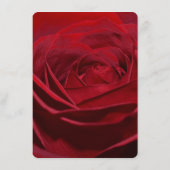 Schönes Hochzeitsmenü für Rote Rosen Menükarte (Rückseite)