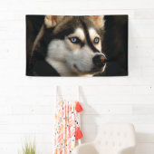 Schönes Husky Throw Kissen Banner (Insitu)