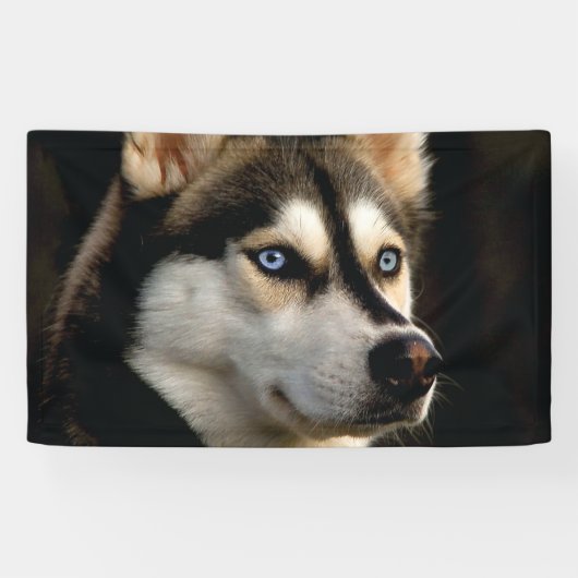 Schönes Husky Throw Kissen Banner (Horizontal)