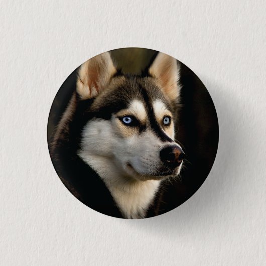 Schönes Husky Throw Kissen Button (Vorderseite)