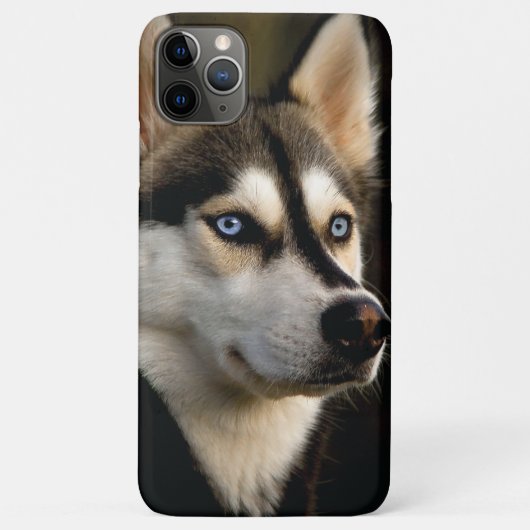Schönes Husky Throw Kissen Case-Mate iPhone Hülle (Rückseite)