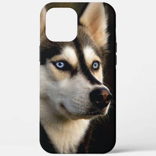 Schönes Husky Throw Kissen Case-Mate iPhone Hülle (Rückseite)