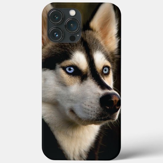 Schönes Husky Throw Kissen Case-Mate iPhone Hülle (Rückseite)