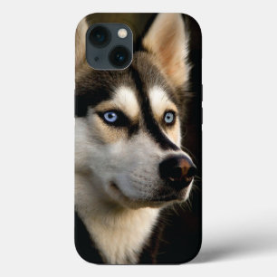 Schönes Husky Throw Kissen Case-Mate iPhone Hülle