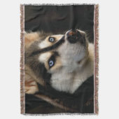 Schönes Husky Throw Kissen Decke (Vorderseite Vertikal)