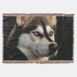 Schönes Husky Throw Kissen Decke